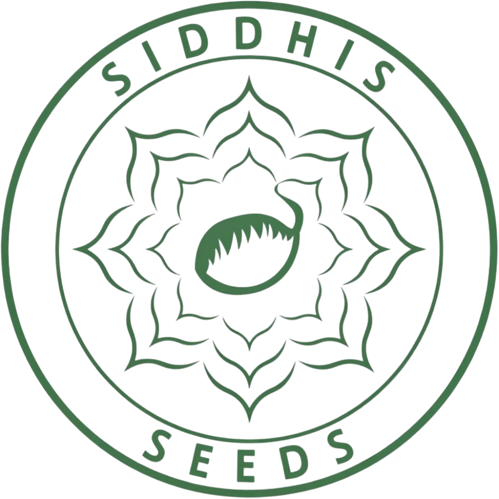 Siddhis Seeds